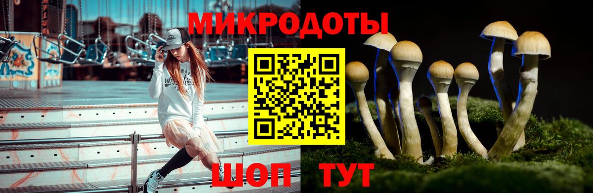 Псилоцибиновые грибы Cubensis  Вход с VPN  Кимры 